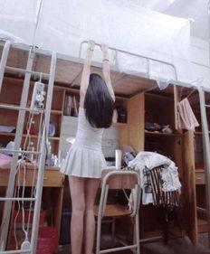 女生宿舍在线观看,揭秘青春岁月里的温馨时光 第1张 女生宿舍在线观看,揭秘青春岁月里的温馨时光 第1张